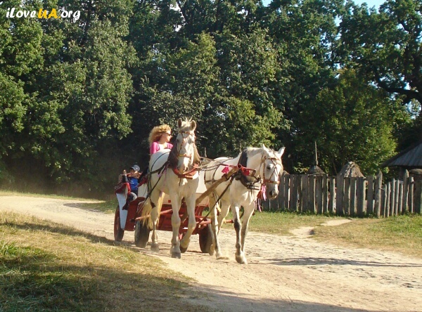 Пирогово, прогулочные лошадки; Pirohovo near Kiev, http://iloveua.org/article/110